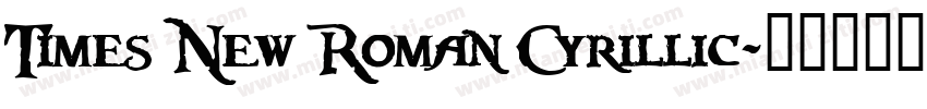 Times New Roman Cyrillic字体转换